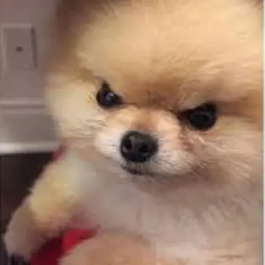 Profile image of 이안이 되