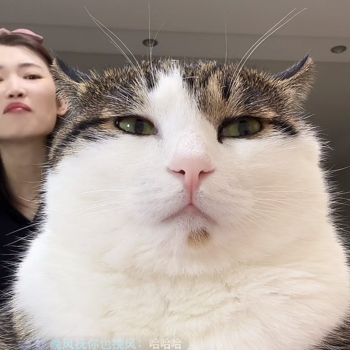 운동부 모임 대표 이미지