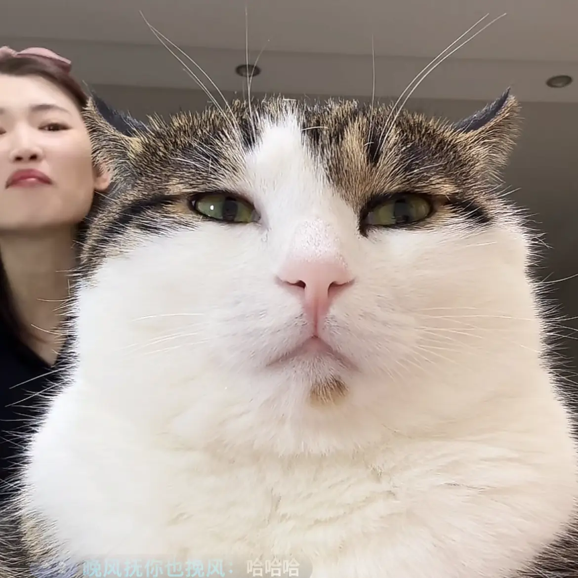 324780970068의 운동부 모임
