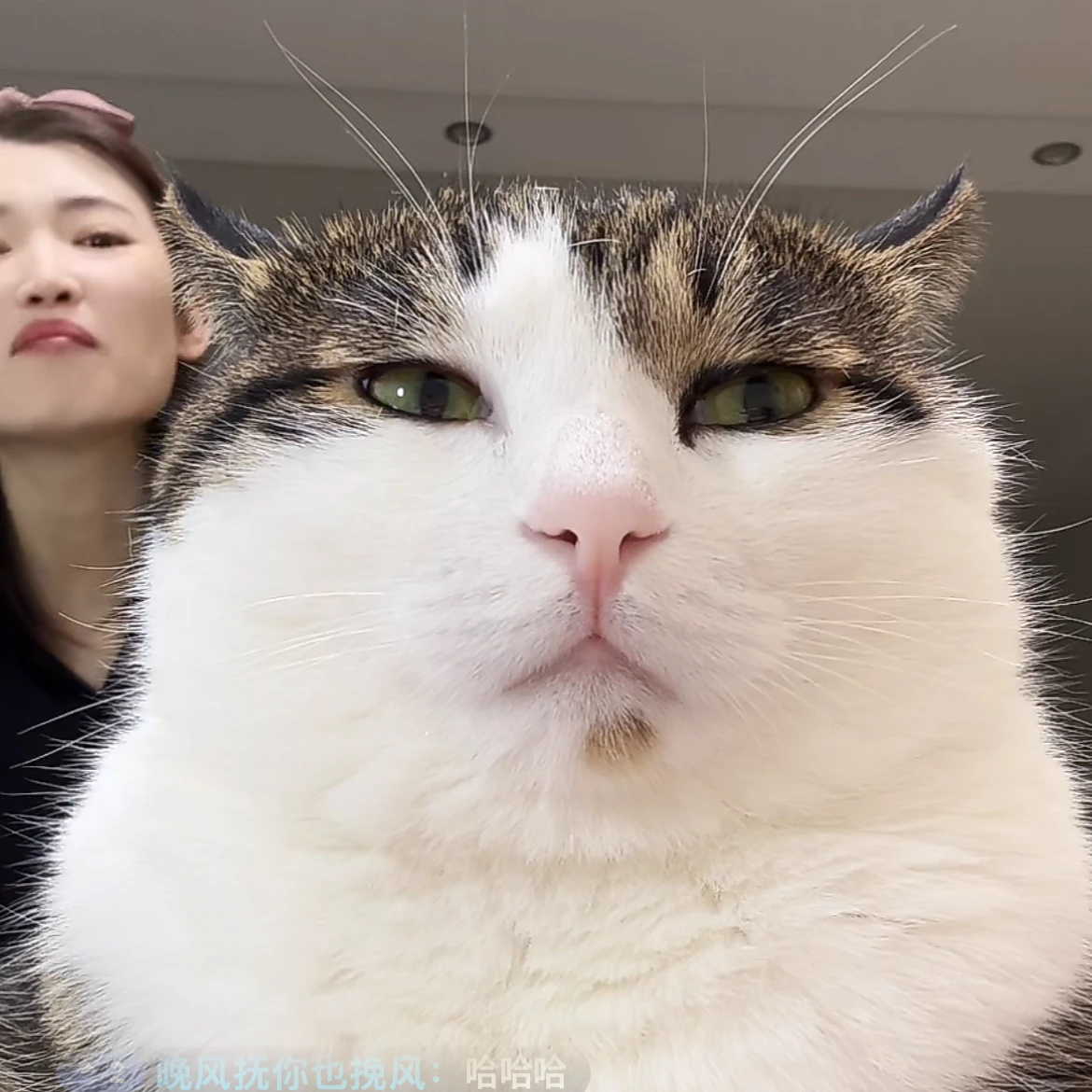 모임