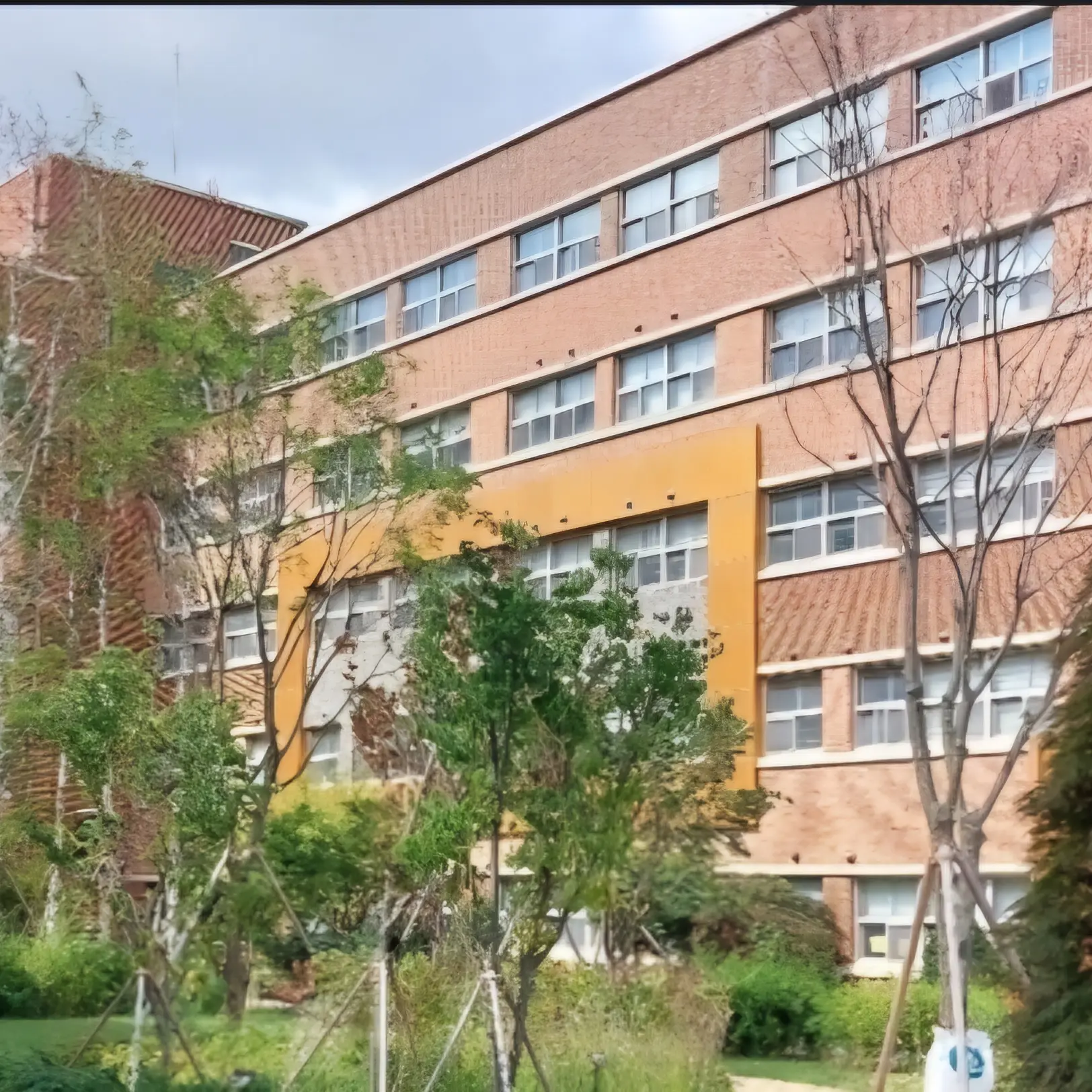 VapidSweat8875의 고등학교