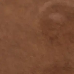 Profile image of 명성일