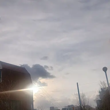 Profile image of 멜로우