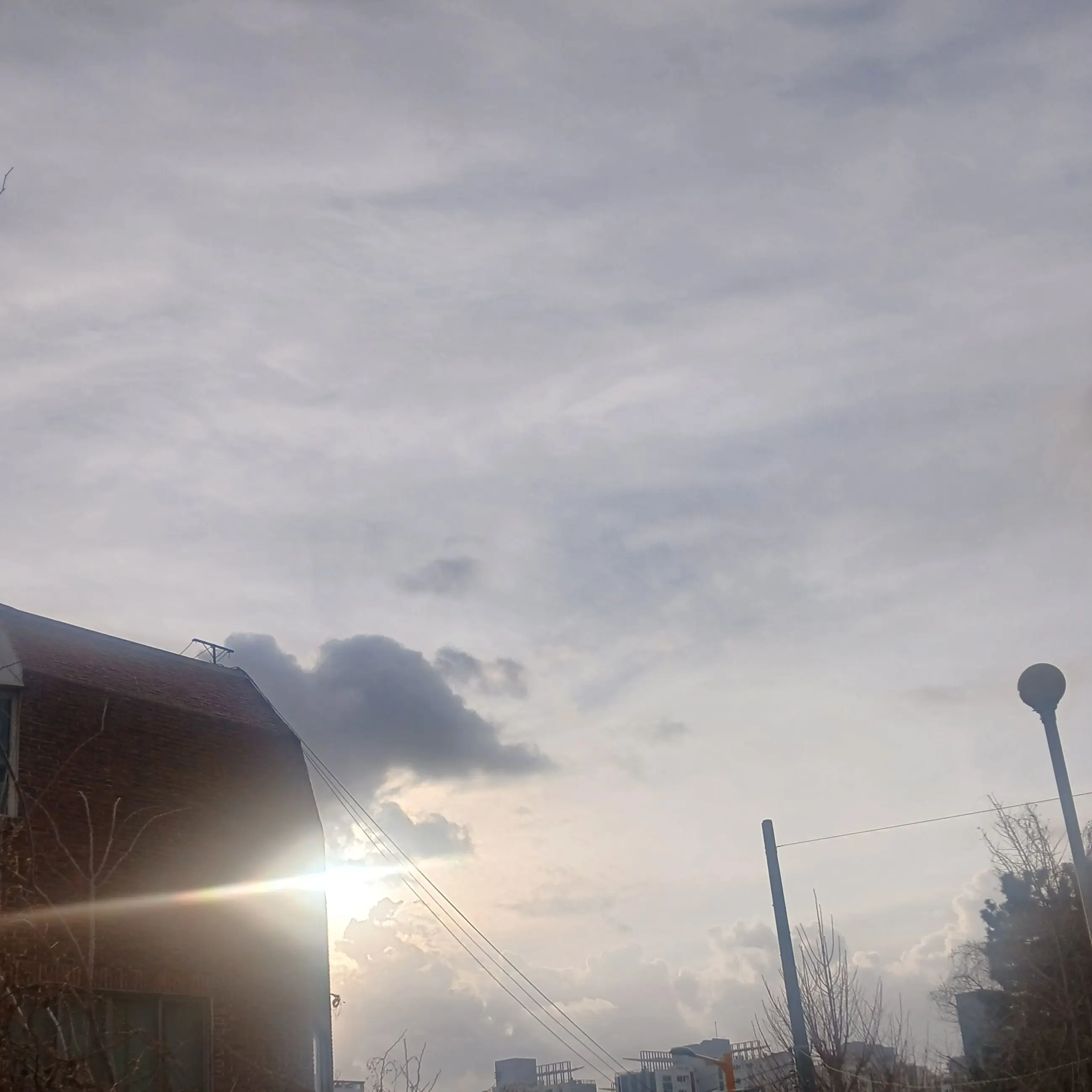 FolksyChime3893의 유저 우참