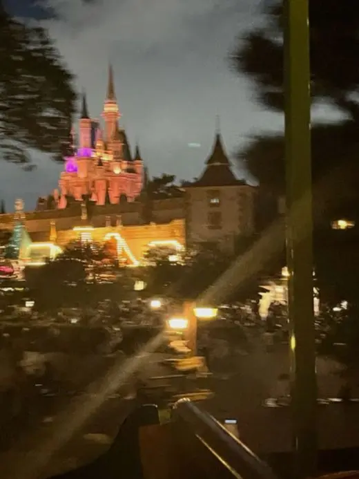 ITZY_Yeji의 韓国アイドルな兄