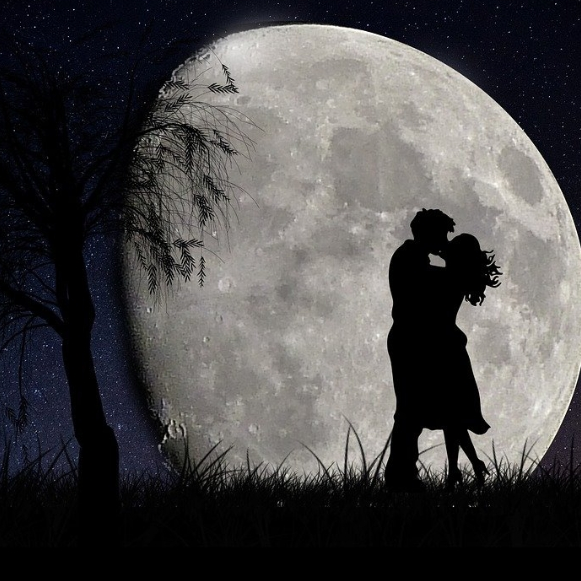 사이먼드 라엘 대표 이미지