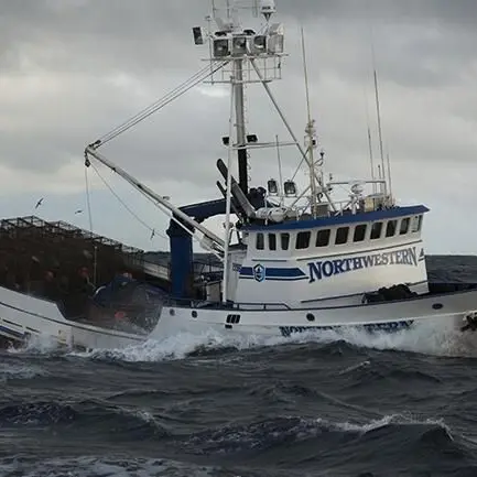 RigidKrill3407의 Deadliest catch