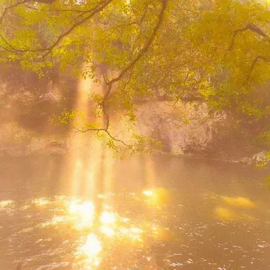 Profile image of 김 각별.