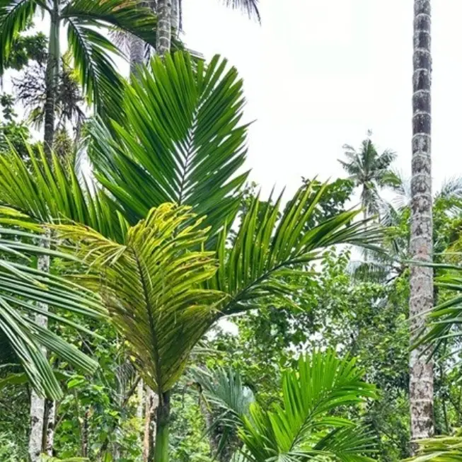 lastqtr307의 임현식