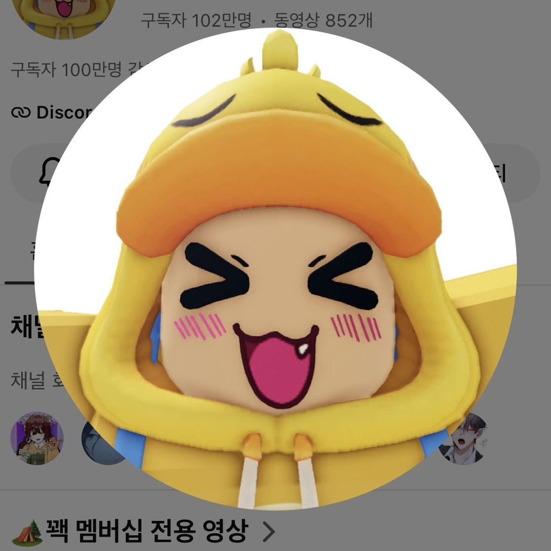 꽥꽥탐험대 나무위키 읽기 대표 이미지