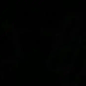 BrassyLose4893의 양정인