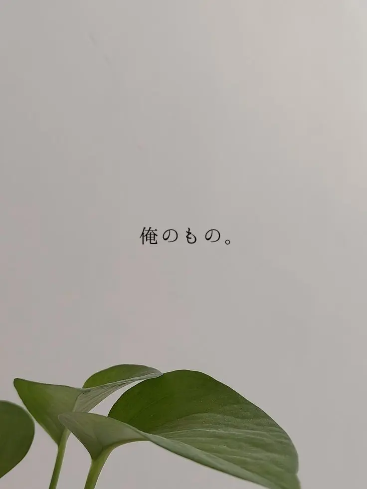 ___maruru의 俺のもの。