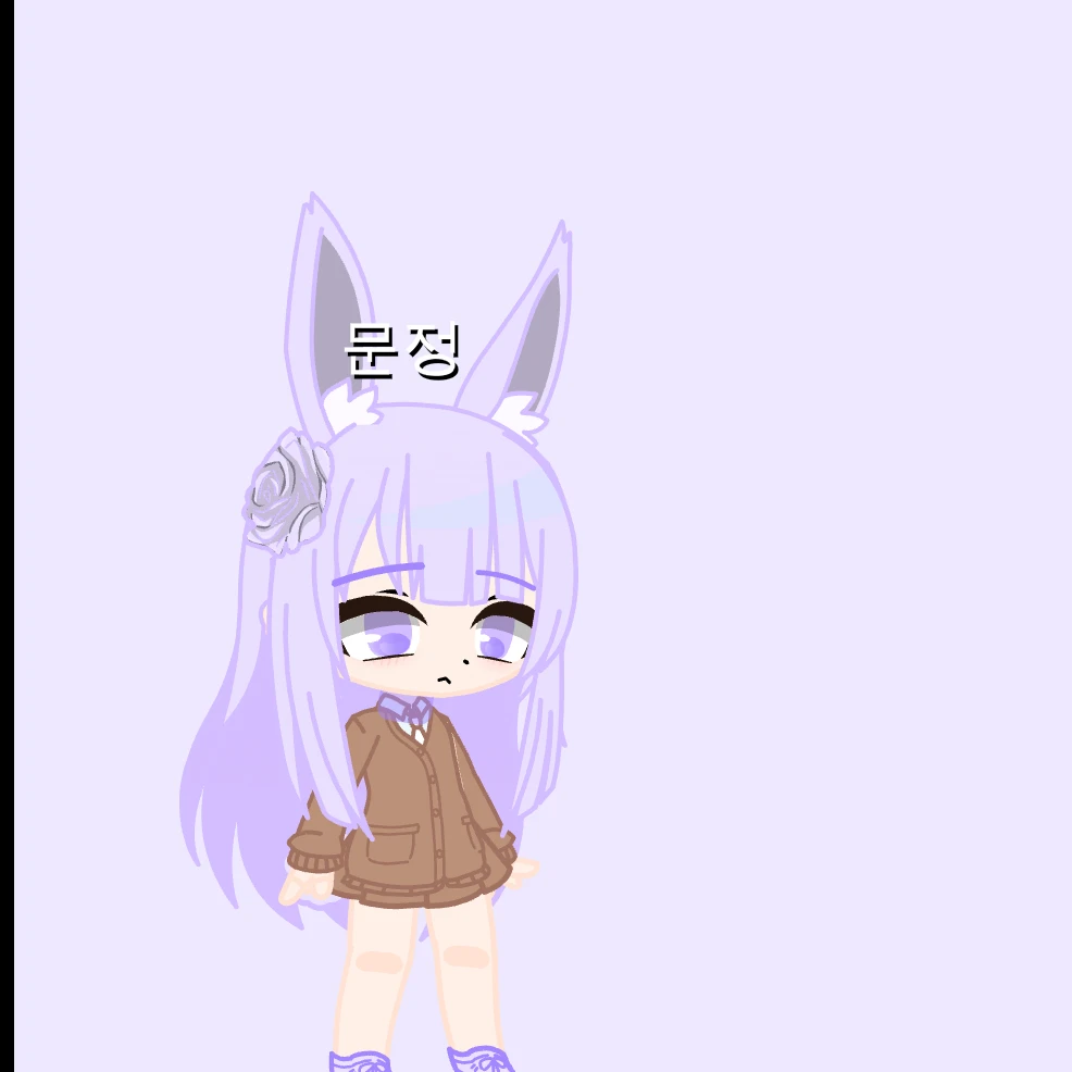 문정