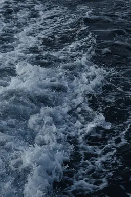 Profile image of 波浪