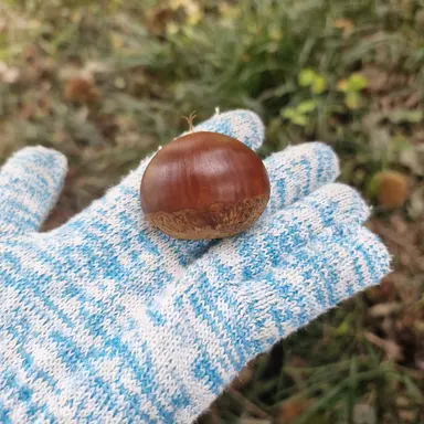 Profile image of 유기사