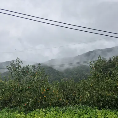 Profile image of 준브레드