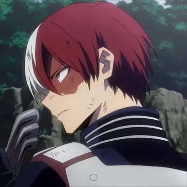 Profile image of Shoto Todoroki