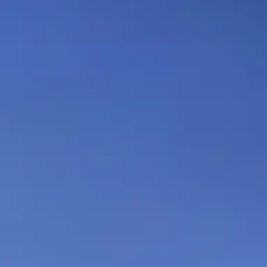 Profile image of 여우