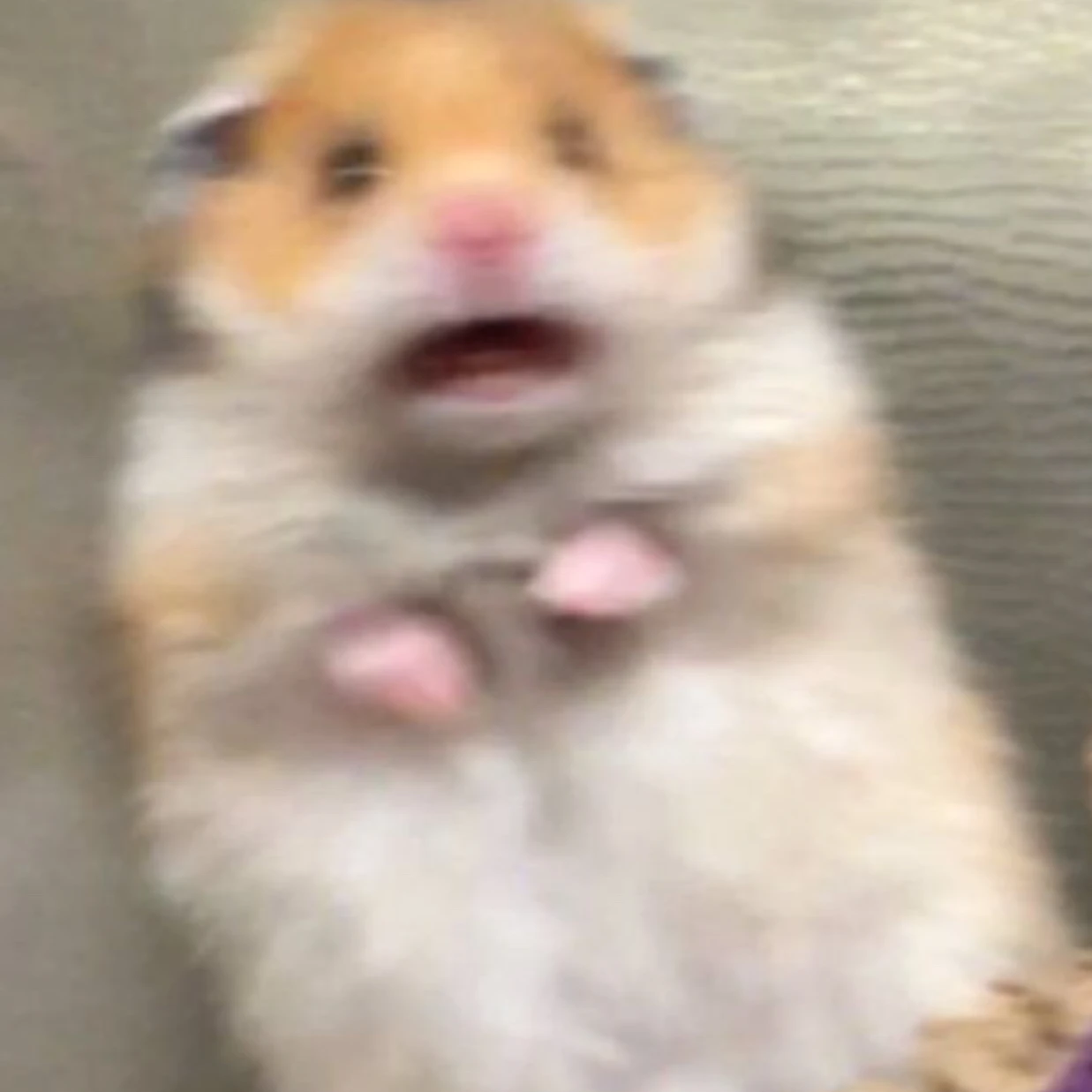 솔삔