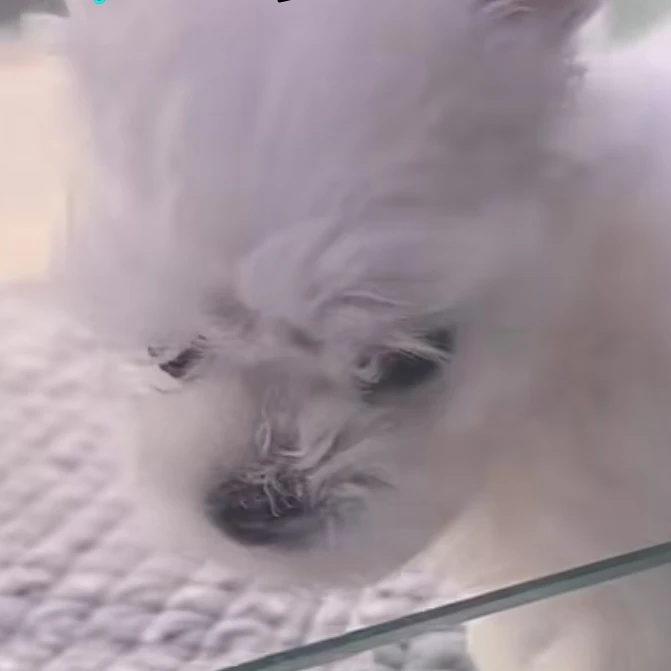 김승민