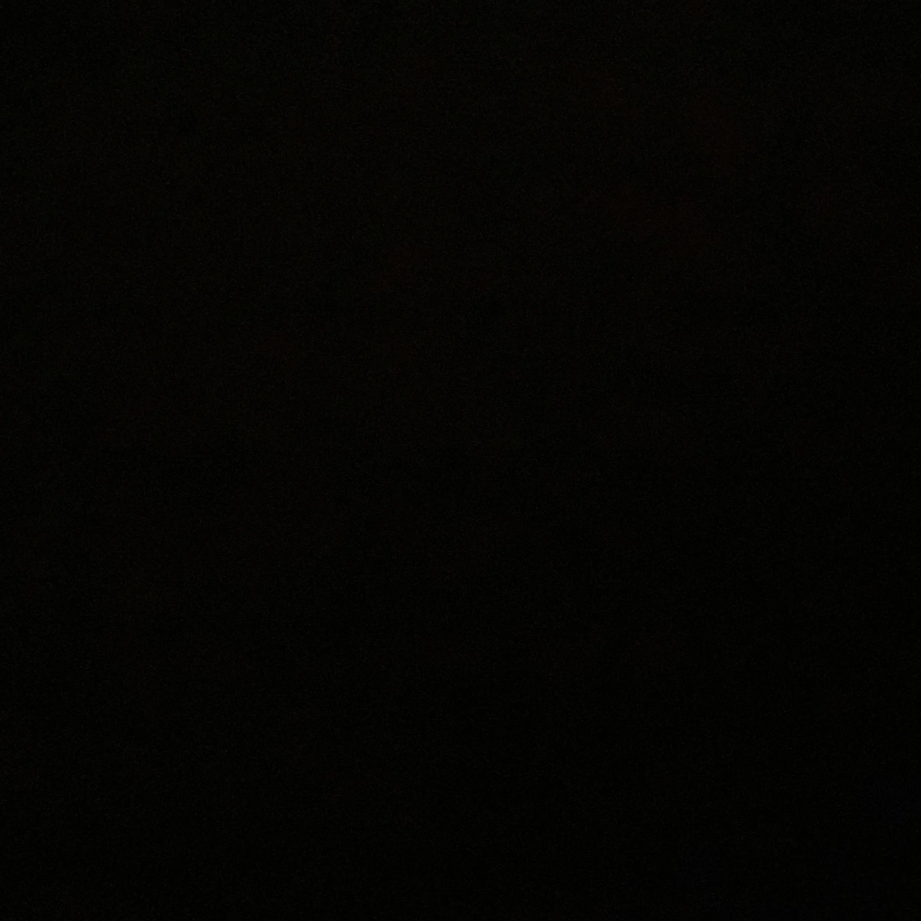 TautBird8928의 최.수.빈.