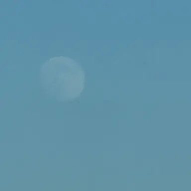 Profile image of ギュビン