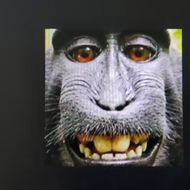 Profile image of 러싱이