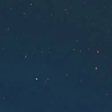 CoralFilm1001의 好きな人がお休み！自分用