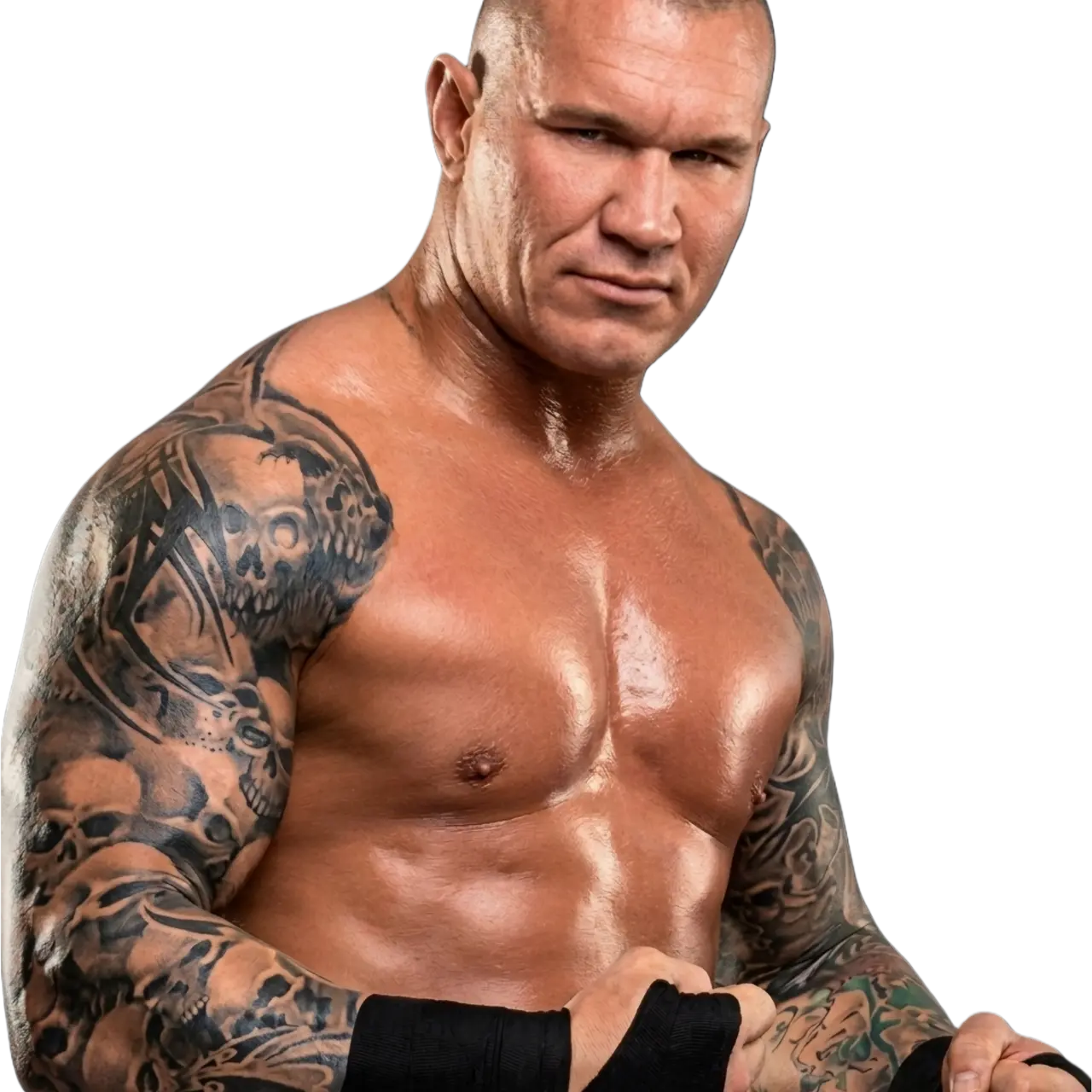 Kaylabear02의 Randy Orton
