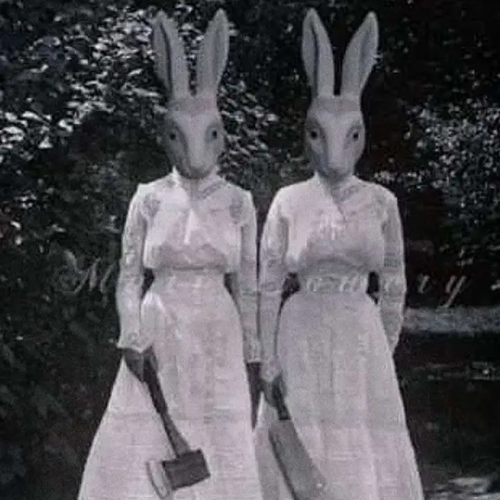 11ee의 🔪🐇쌍둥이 토끼 자매 🐇🔪