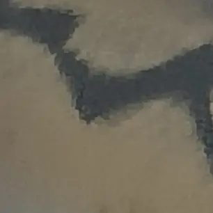 Profile image of 로나