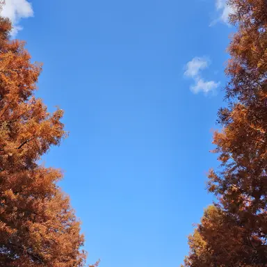 Profile image of ......