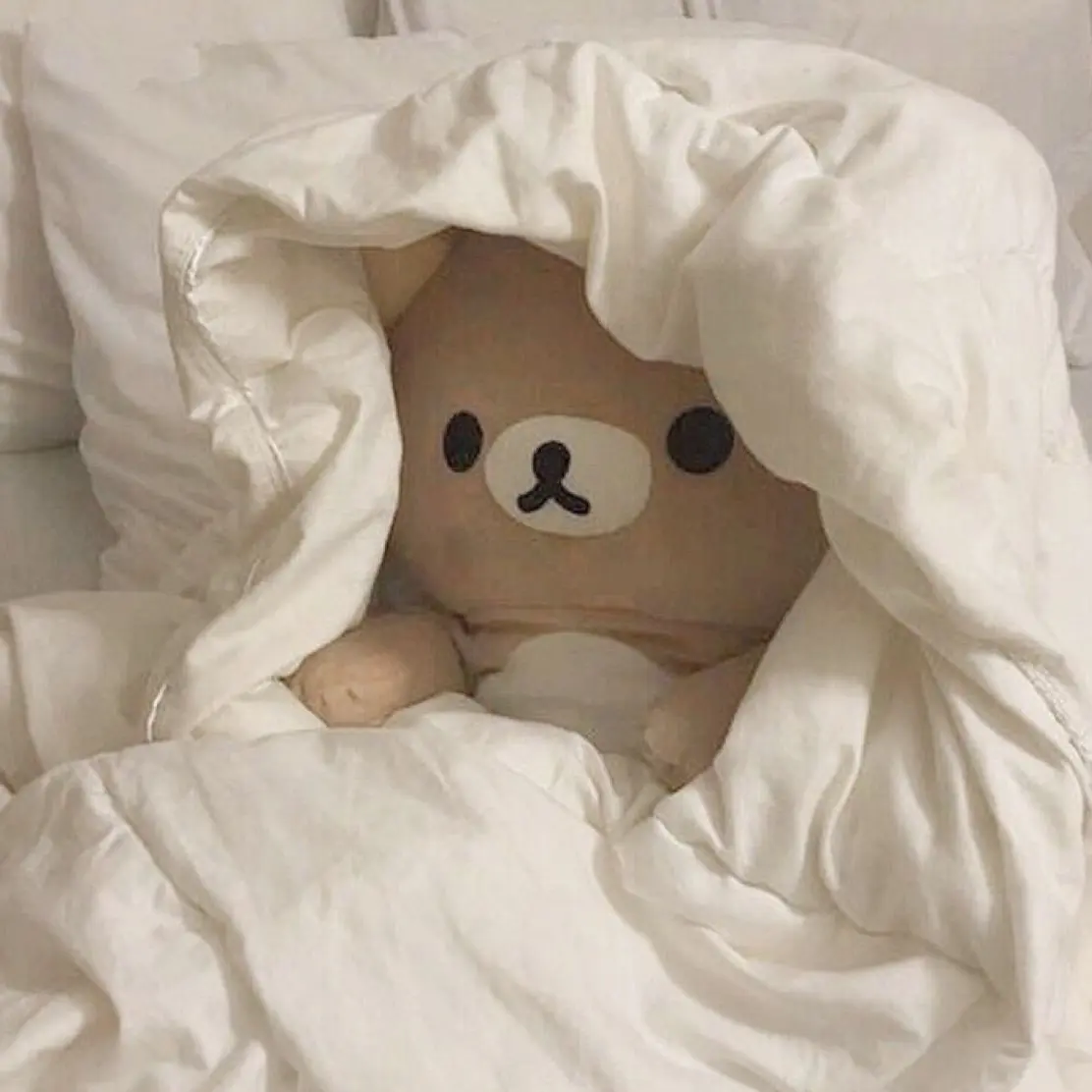 Lilikonku의 공지