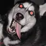 Profile image of Bercky