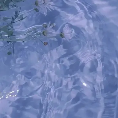 Profile image of 잠뜰