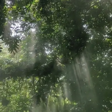 Profile image of 공룡