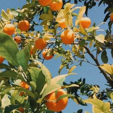 Profile image of 덕개