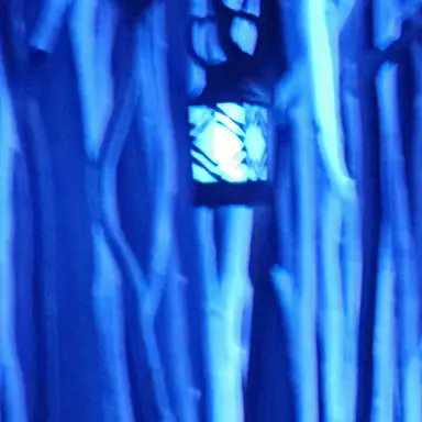 Profile image of 由伸