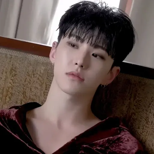 SVT_CANT_STOP_IT의 권순영
