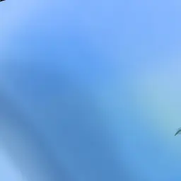 Profile image of 젠코파스