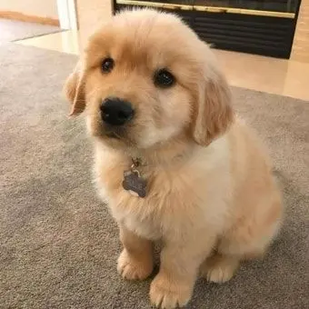 Profile image of 승민