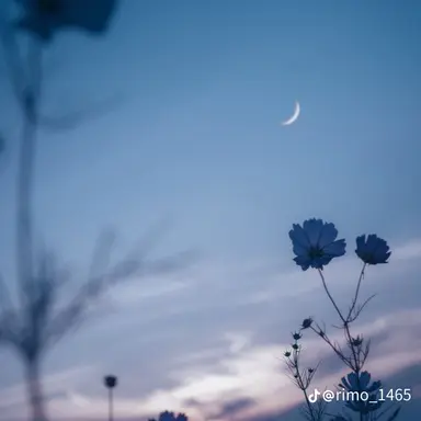 Profile image of 兄ちゃん達が