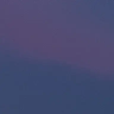 Profile image of 유하람