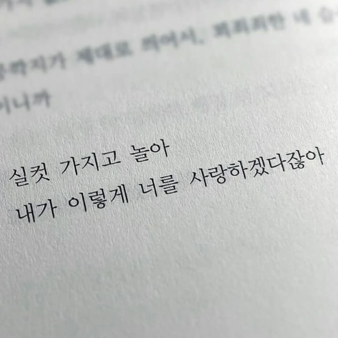 켈시