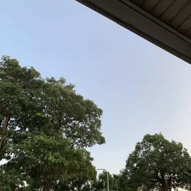 Profile image of 박잠뜰