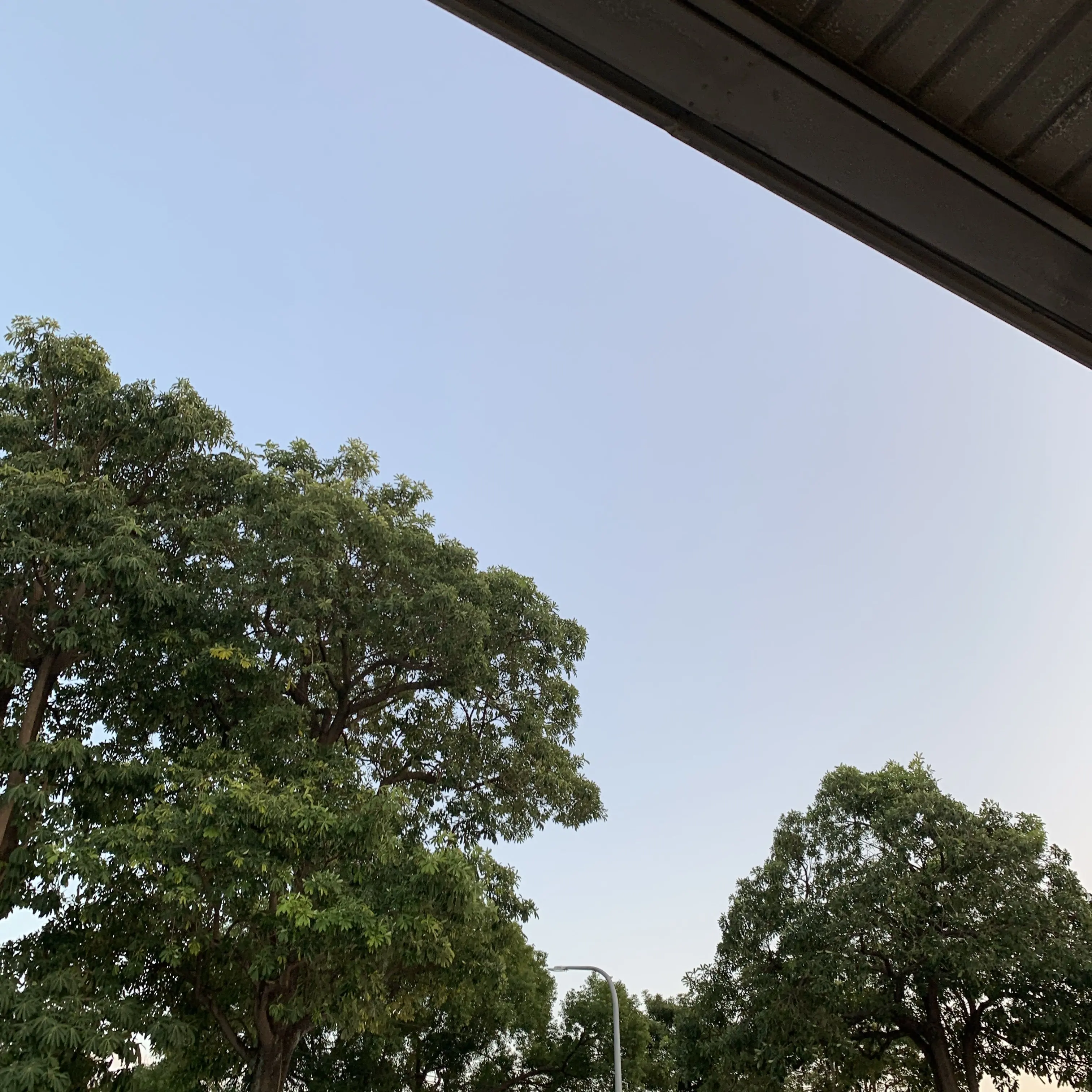 INFP_2561의 도망자&미수반