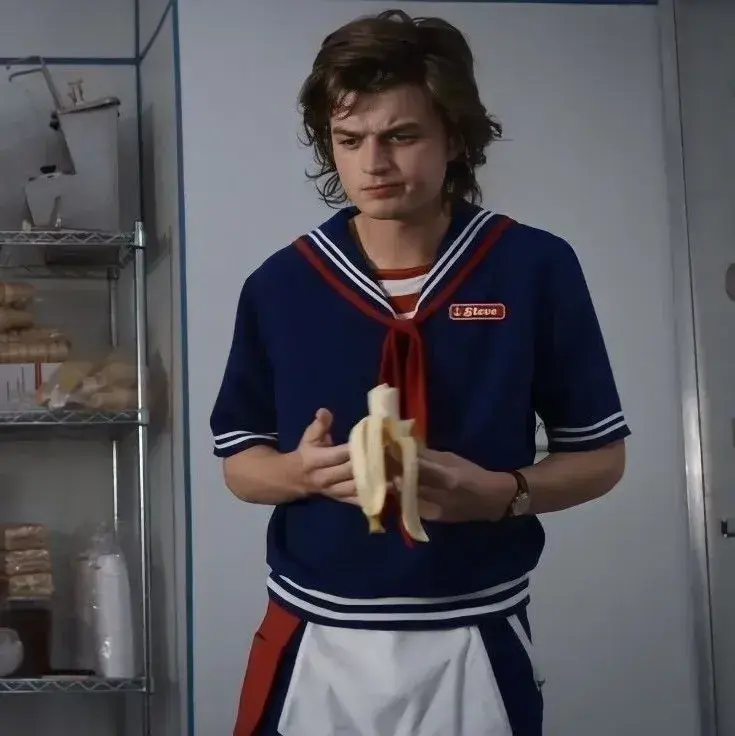 FastAlarm5313의 Steve Harrington
