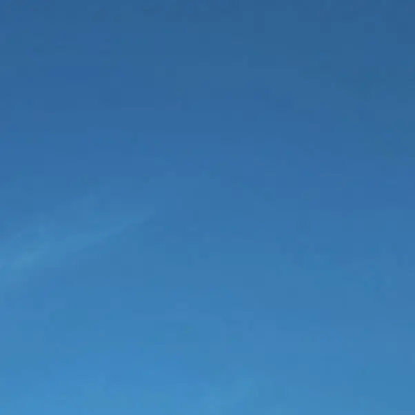 ShyHooks1115의 余命半年の私と、余命一年の君と出会った話