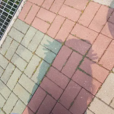 Profile image of 변우석