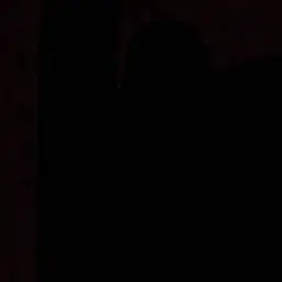 LilacGravy4328의 めんどくさがり神父とのんびりライフ